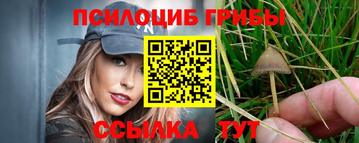 Лениногорск  Галлюциногенные грибы MAGIC MUSHROOMS  Галлюциногенные грибы Cubensis  Вход с VPN 